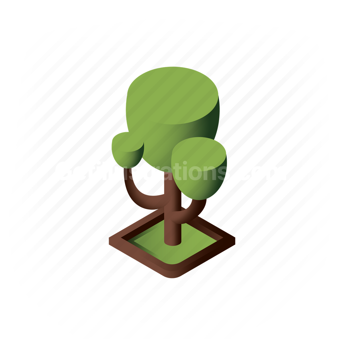 plant, tree, park, ecology
